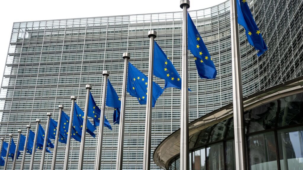 eu flags