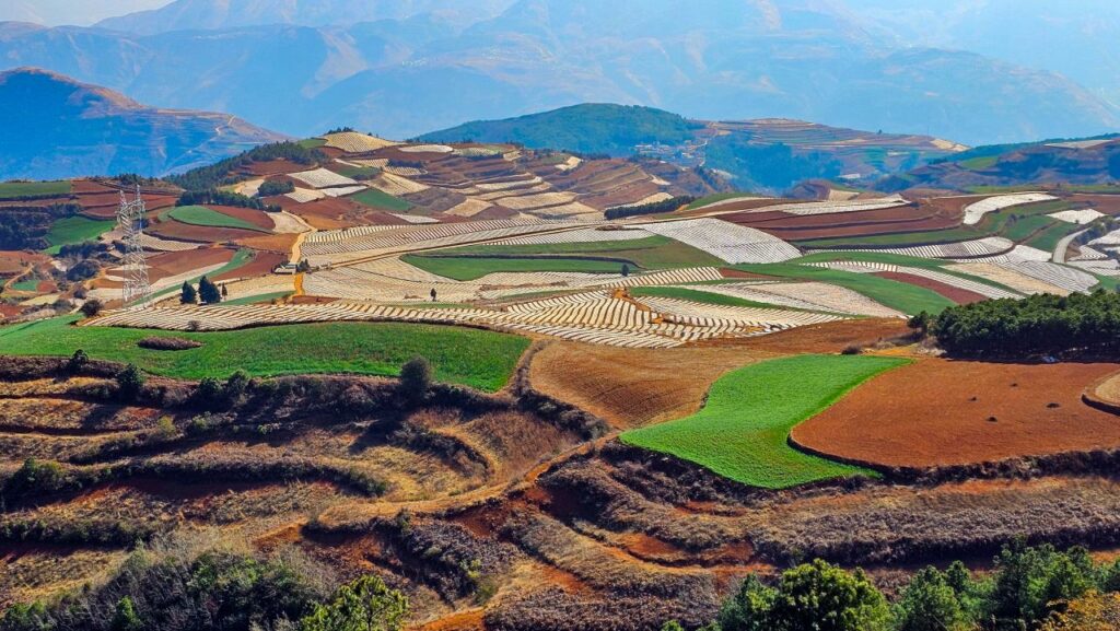 land auctions in china drop due to demand