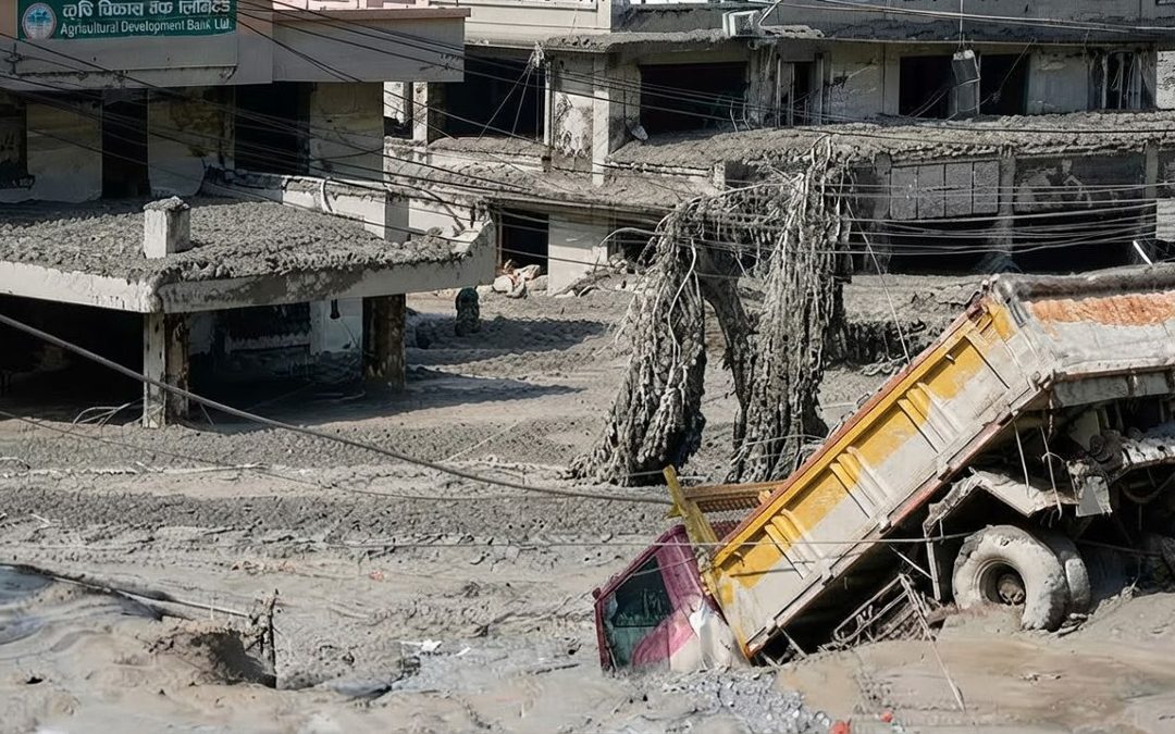 China’s Flood, Chip and Cabbage Crises Reveal the Cost of Systemic Fragility