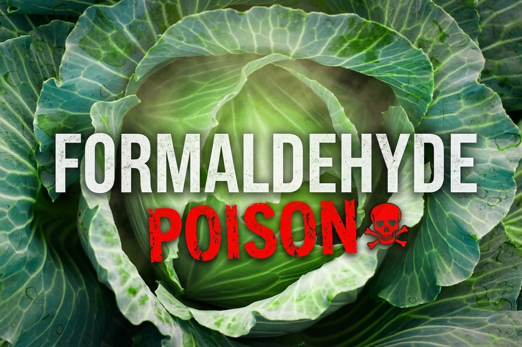 formaldehyde cabbage