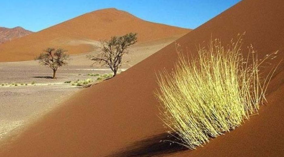 ulan buh desert, called wulanbuhe in chinese
