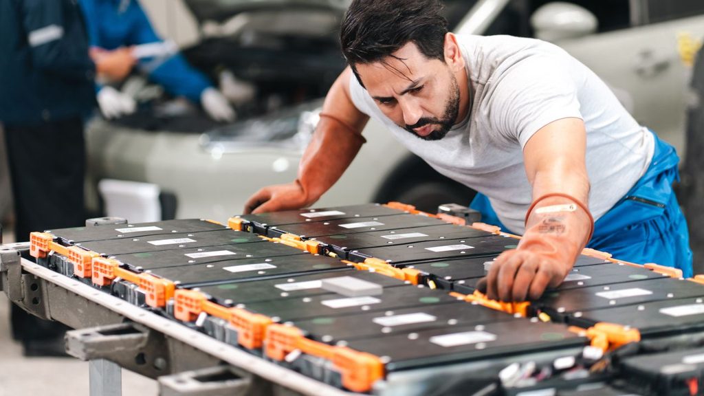 battery firms prepare for a minerals squeeze.